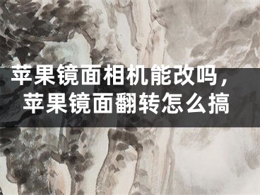 苹果镜面相机能改吗，苹果镜面翻转怎么搞