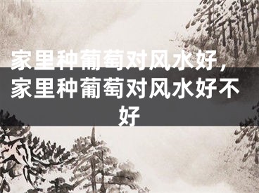 家里种葡萄对风水好，家里种葡萄对风水好不好