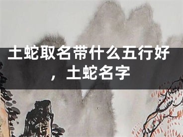 土蛇取名带什么五行好，土蛇名字