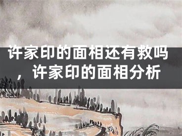 许家印的面相还有救吗，许家印的面相分析