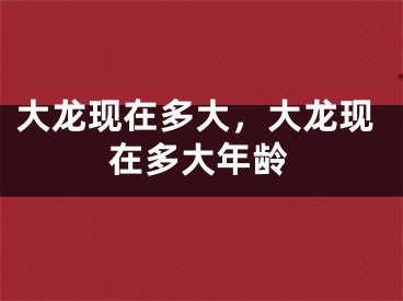 大龙现在多大，大龙现在多大年龄