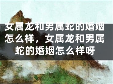 女属龙和男属蛇的婚姻怎么样，女属龙和男属蛇的婚姻怎么样呀