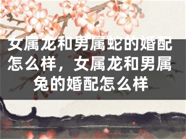女属龙和男属蛇的婚配怎么样，女属龙和男属兔的婚配怎么样
