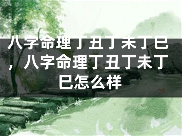 八字命理丁丑丁未丁巳，八字命理丁丑丁未丁巳怎么样