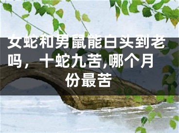 女蛇和男鼠能白头到老吗，十蛇九苦,哪个月份最苦