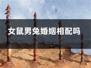 女鼠男兔婚姻相配吗