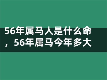 56年属马人是什么命，56年属马今年多大