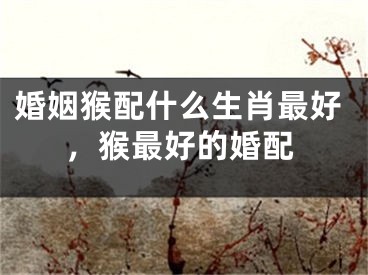 婚姻猴配什么生肖最好，猴最好的婚配