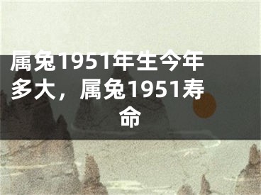属兔1951年生今年多大,属兔1951寿命