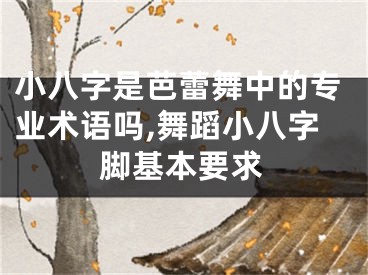小八字是芭蕾舞中的专业术语吗,舞蹈小八字脚基本要求