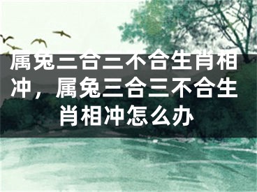 属兔三合三不合生肖相冲，属兔三合三不合生肖相冲怎么办