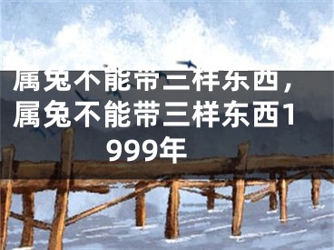 属兔不能带三样东西,属兔不能带三样东西1999年