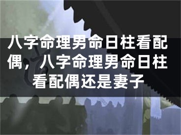 八字命理男命日柱看配偶，八字命理男命日柱看配偶还是妻子