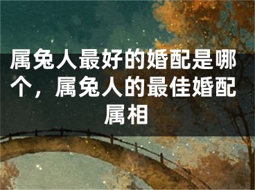 属兔人最好的婚配是哪个，属兔人的最佳婚配属相