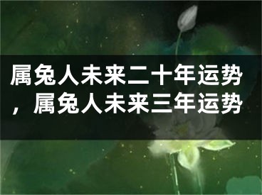 属兔人未来二十年运势，属兔人未来三年运势