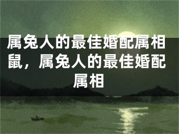 属兔人的最佳婚配属相鼠，属兔人的最佳婚配属相