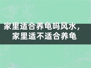 家里适合养龟吗风水，家里适不适合养龟