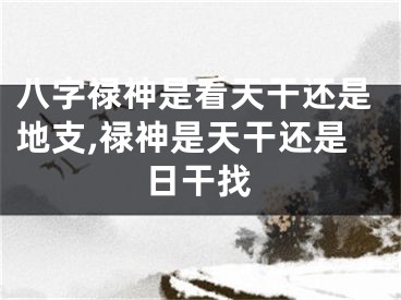 八字禄神是看天干还是地支,禄神是天干还是日干找