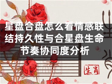 星盘合盘怎么看情感联结持久性与合星盘生命节奏协同度分析