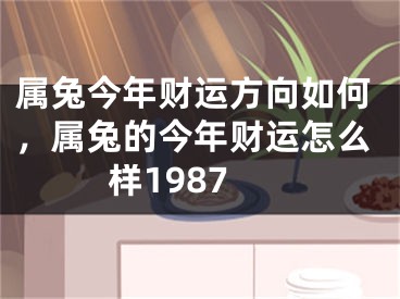 属兔今年财运方向如何,属兔的今年财运怎么样1987