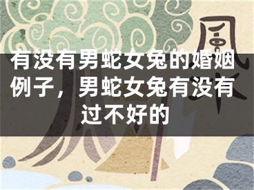 有没有男蛇女兔的婚姻例子，男蛇女兔有没有过不好的