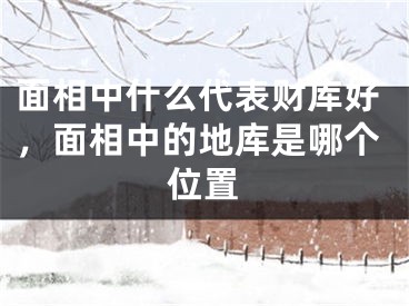 面相中什么代表财库好，面相中的地库是哪个位置
