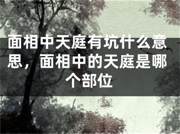 面相中天庭有坑什么意思，面相中的天庭是哪个部位