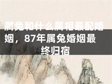 属兔和什么属相最配婚姻，87年属兔婚姻最终归宿