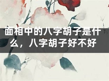 面相中的八字胡子是什么，八字胡子好不好
