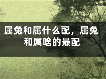 属兔和属什么配，属兔和属啥的最配