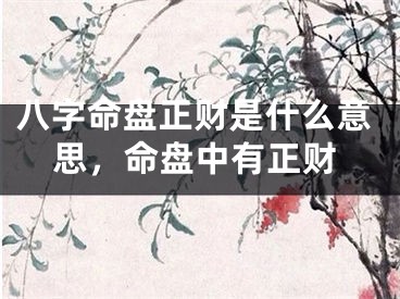 八字命盘正财是什么意思，命盘中有正财