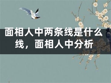 面相人中两条线是什么线，面相人中分析