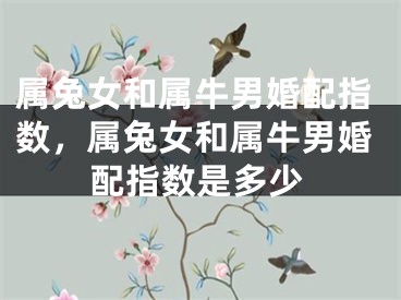 属兔女和属牛男婚配指数，属兔女和属牛男婚配指数是多少