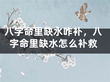 八字命里缺水咋补，八字命里缺水怎么补救