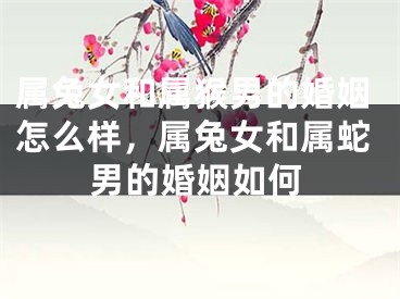 属兔女和属猴男的婚姻怎么样，属兔女和属蛇男的婚姻如何