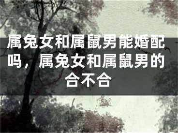 属兔女和属鼠男能婚配吗，属兔女和属鼠男的合不合