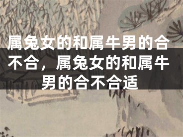 属兔女的和属牛男的合不合，属兔女的和属牛男的合不合适