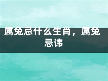 属兔忌什么生肖，属兔忌讳