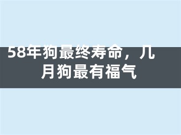 58年狗最终寿命,几月狗最有福气