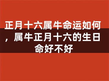 正月十六属牛命运如何，属牛正月十六的生日命好不好