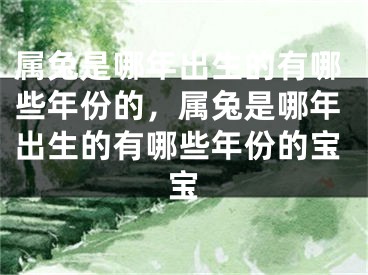 属兔是哪年出生的有哪些年份的，属兔是哪年出生的有哪些年份的宝宝