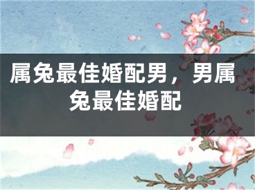 属兔最佳婚配男，男属兔最佳婚配
