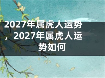 2027年属虎人运势,2027年属虎人运势如何