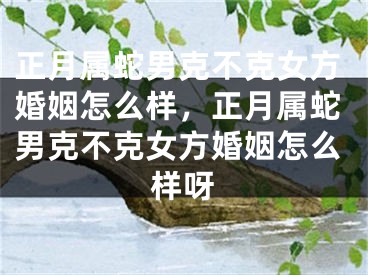 正月属蛇男克不克女方婚姻怎么样，正月属蛇男克不克女方婚姻怎么样呀
