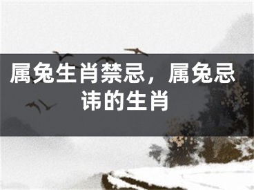 属兔生肖禁忌，属兔忌讳的生肖