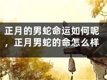 正月的男蛇命运如何呢，正月男蛇的命怎么样