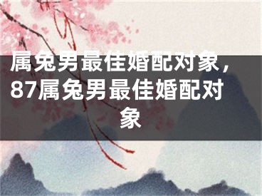 属兔男最佳婚配对象，87属兔男最佳婚配对象