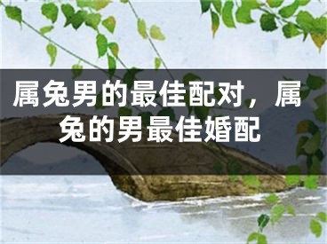 属兔男的最佳配对，属兔的男最佳婚配