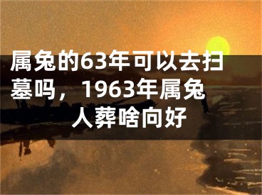 属兔的63年可以去扫墓吗，1963年属兔人葬啥向好