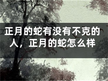 正月的蛇有没有不克的人，正月的蛇怎么样